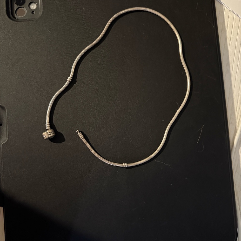 Pandora Silver Necklace